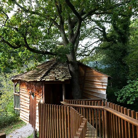 Deerpark Cabins, Cornwall - Forest Holidays Liskeard Esterno foto